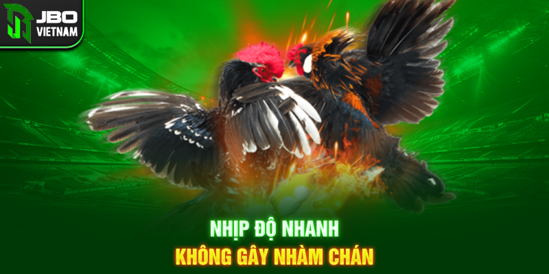 Nhịp độ nhanh, không gây nhàm chán